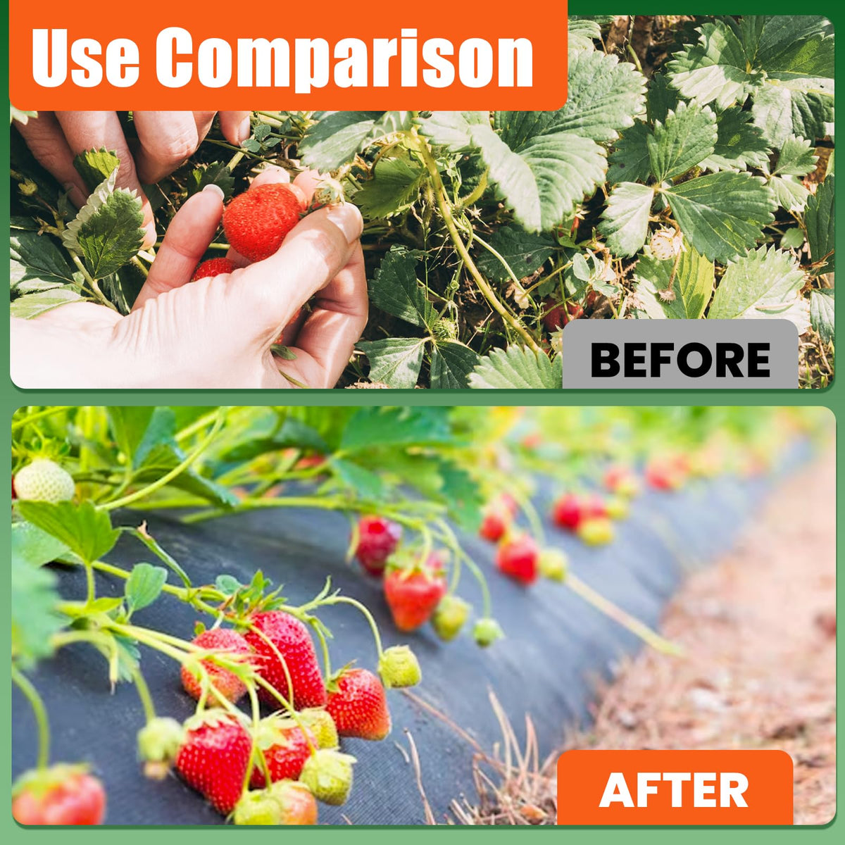 GRASSCLUB easy-to-install weed barrier for quick garden setup