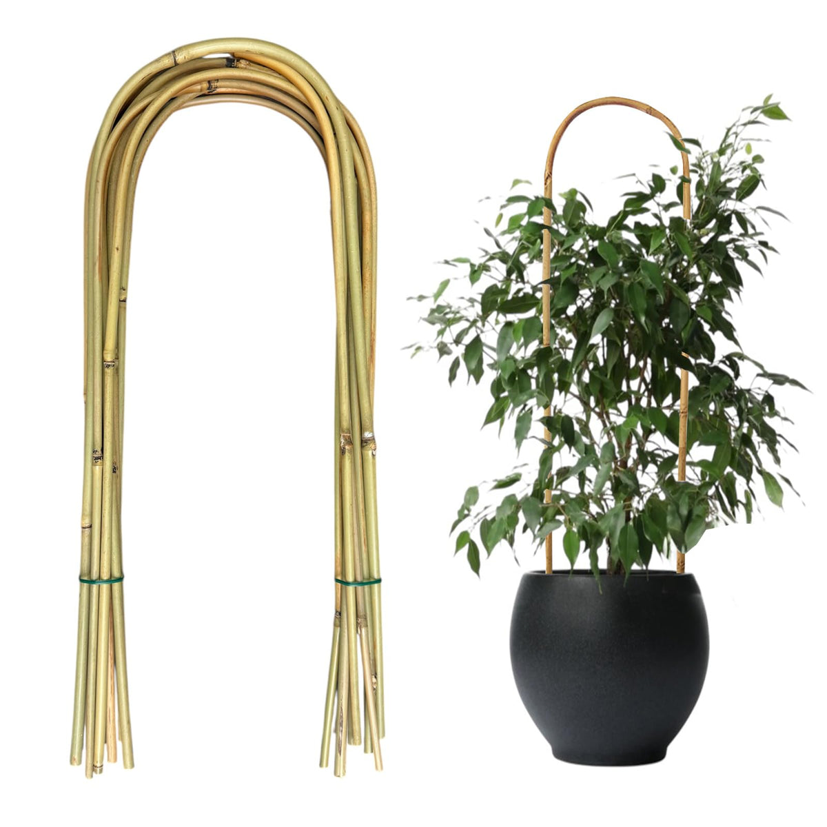 Grassen 20-pack bamboo U-trellis for potted plants with sturdy support.