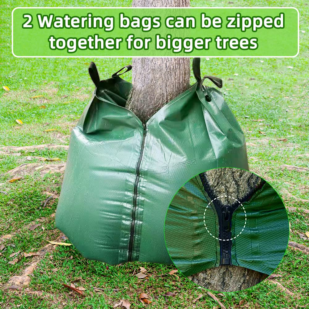 GRAUERHUND bag ready for 2–4 inch caliper trees with double-bag option.