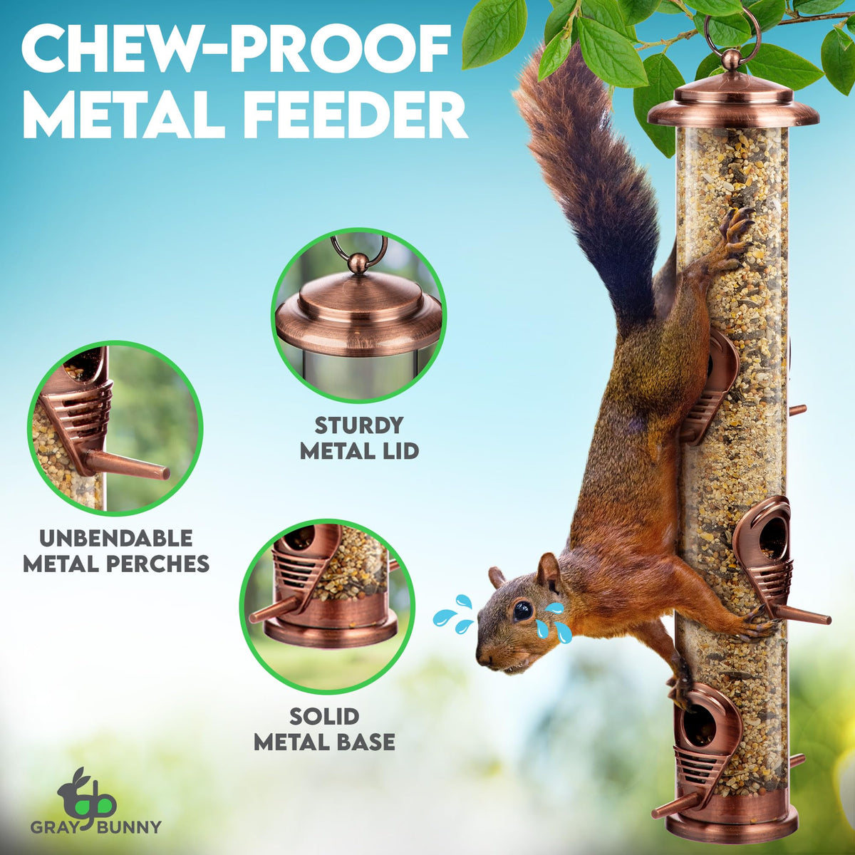 Gray Bunny bird feeder clear seed tube with visible seed level
