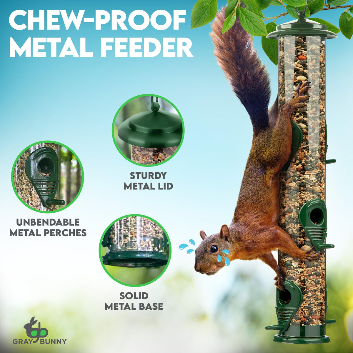 Gray Bunny clear tube on green feeder for easy seed level monitoring.