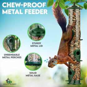 Gray Bunny clear tube on green feeder for easy seed level monitoring.