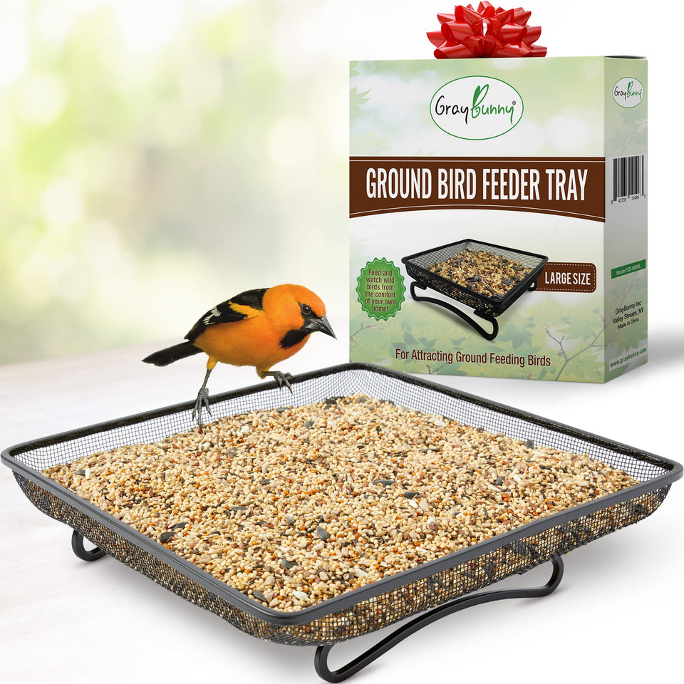 Gray Bunny ground bird feeder tray outdoors with sturdy metal construction.