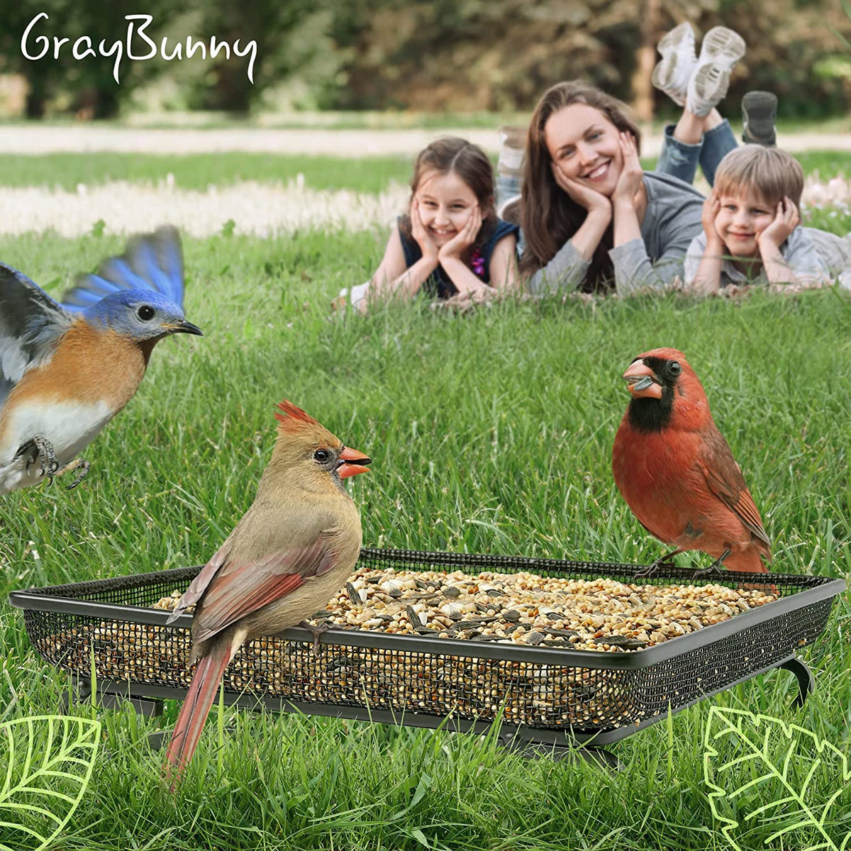 Gray Bunny platform mesh seed tray attracts birds with minimal mess.