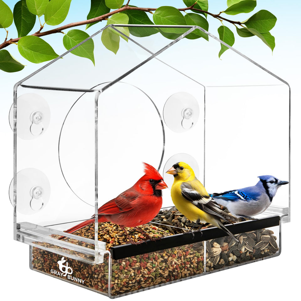 Gray Bunny window bird feeder with strong suction cups for secure outdoor viewing.