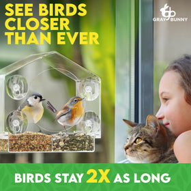 Gray Bunny window bird feeder tray divider supports multiple food types.