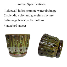 Grdthzey 6-inch orchid pot with a wide, stable profile