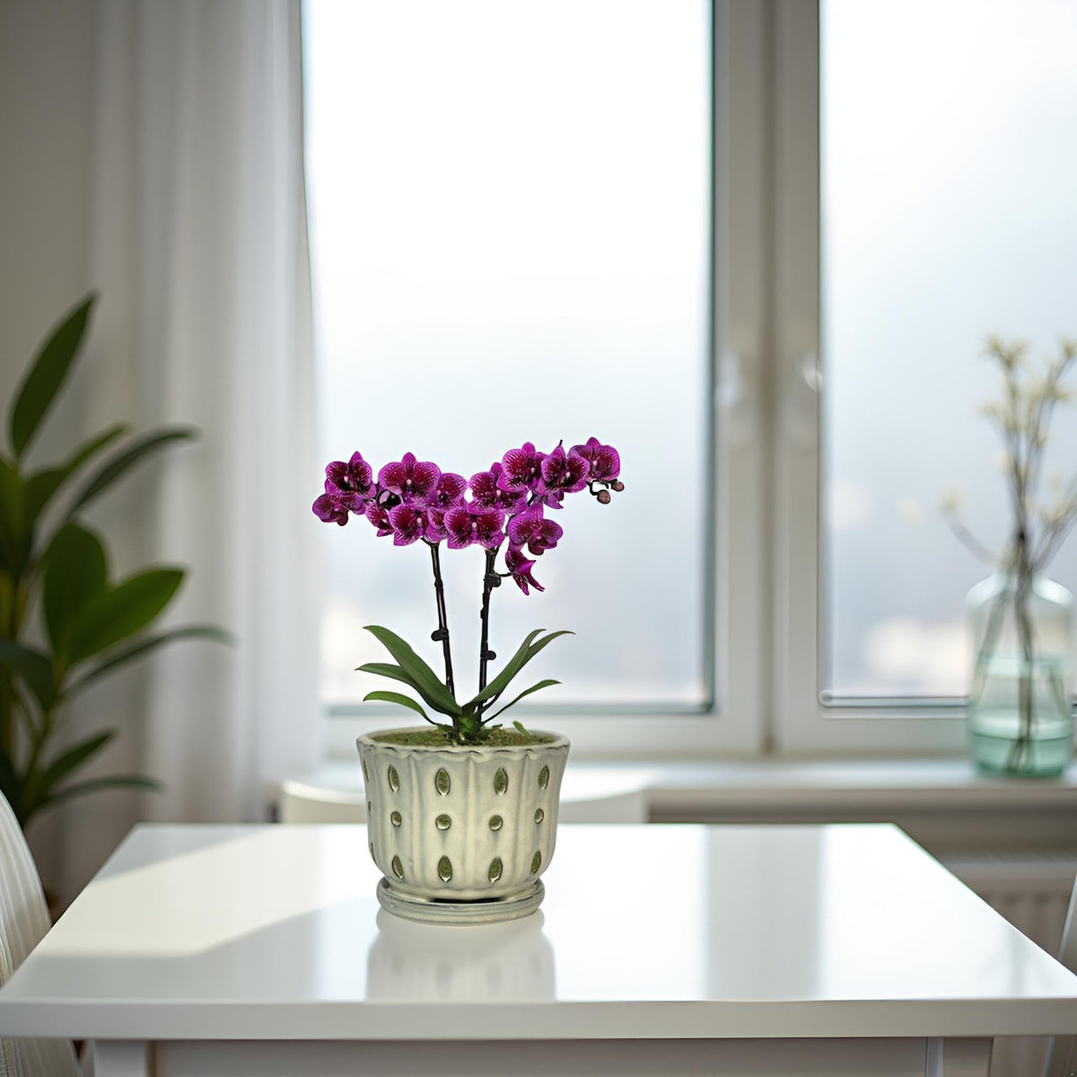 Grdthzey classic cream color complements any plant and decor