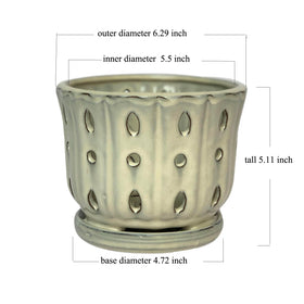 Grdthzey orchid pot shows drainage hole for healthy roots and easy watering