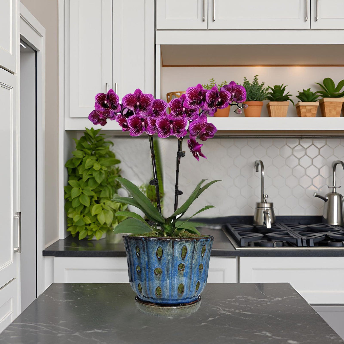 Grdthzey dark blue ceramic planter highlights classic color and finish.