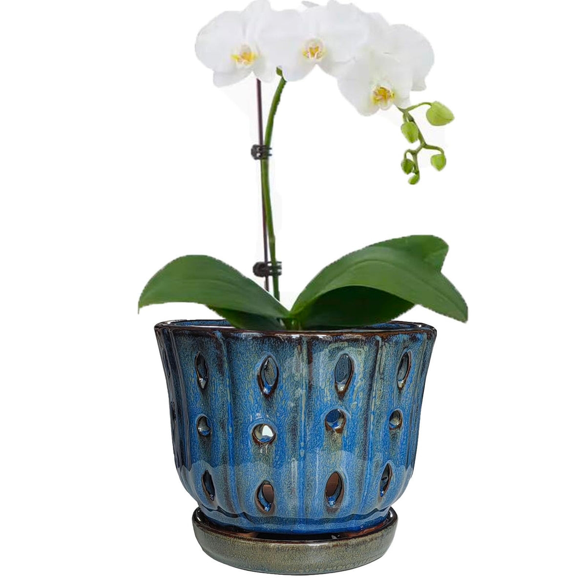 Grdthzey orchid pot with drainage holes for healthier root airflow.