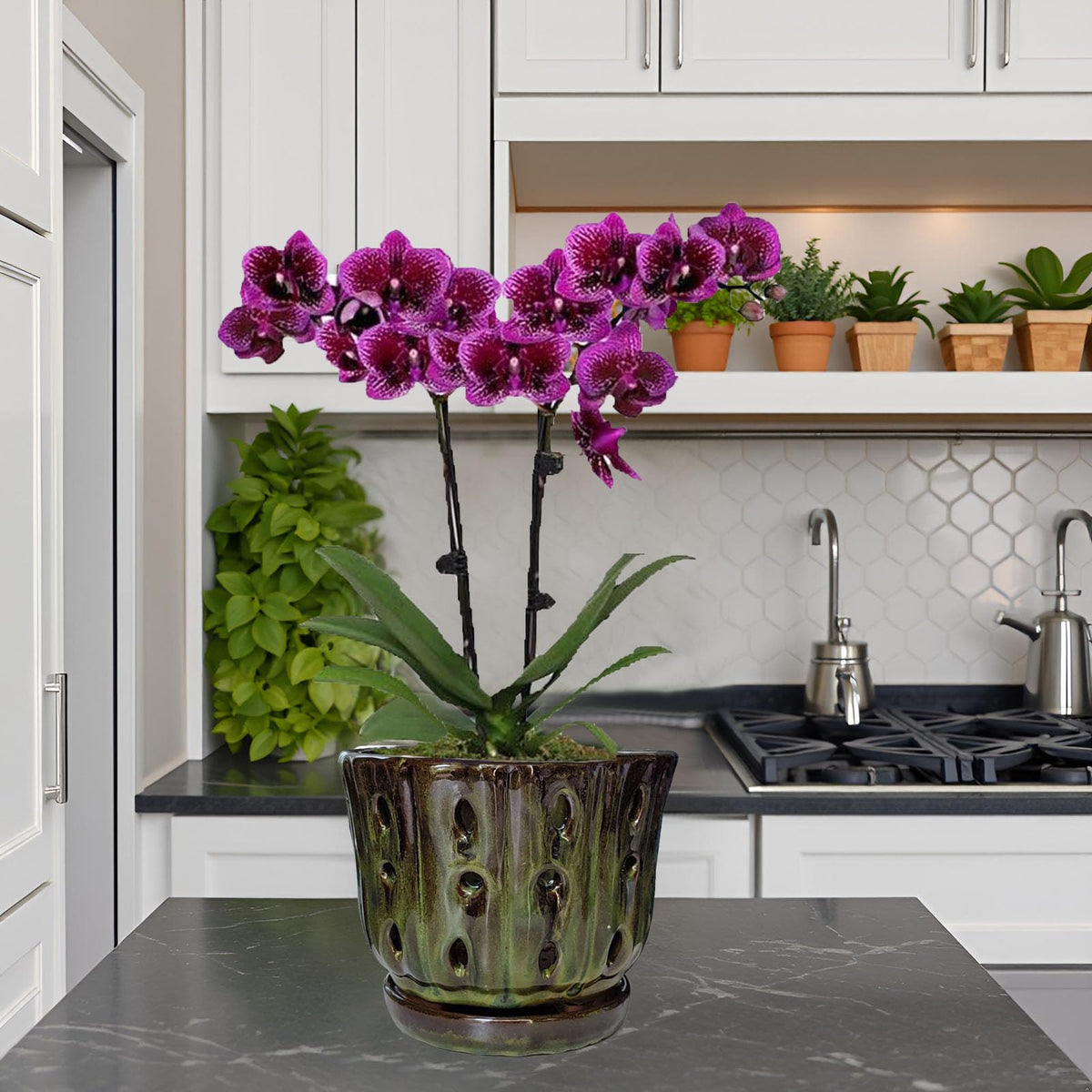 Grdthzey orchid pot with attached saucer keeps spills contained