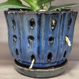 Grdthzey window-sill orchid pot shown on a bright sill.