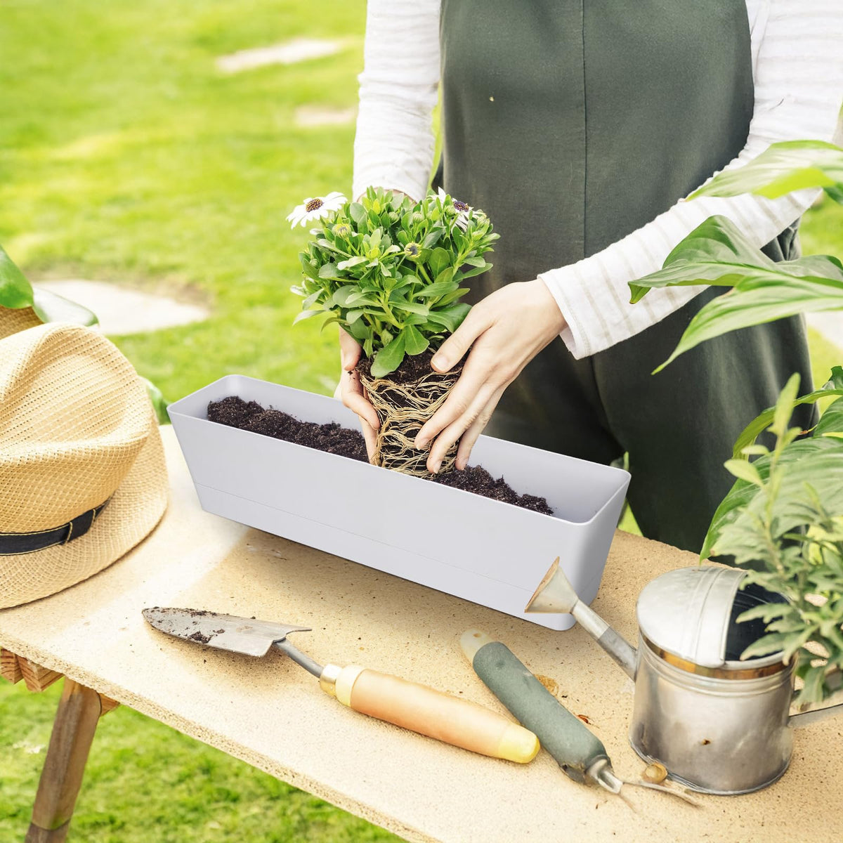 GREANER compact planter ideal for kitchens, windowsills, patios, and desks.