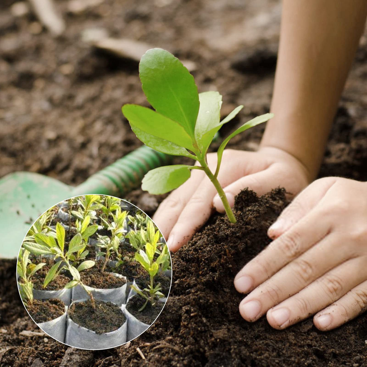 GREANER home garden seedling pouches for tidy, organized planting