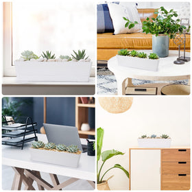 GREANER indoor-outdoor planter setup on a patio for versatile decorating