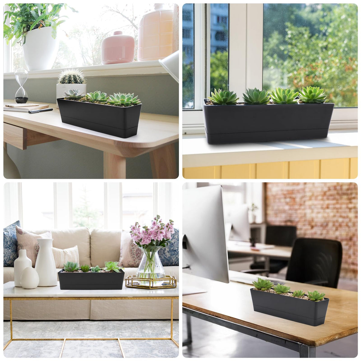 GREANER kitchen windowsill planter for herbs and spices.