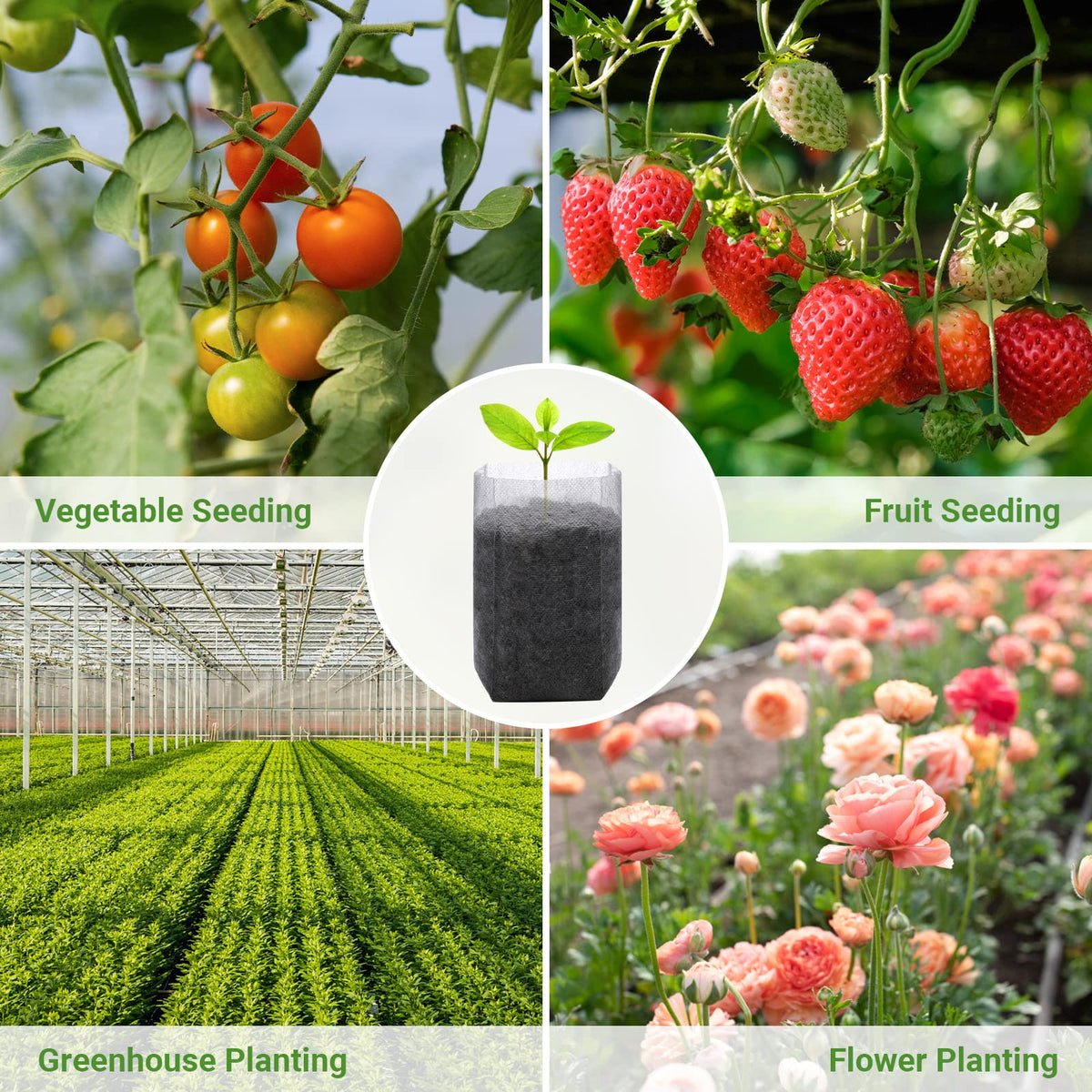 GREANER non-woven seedling bags provide breathable soil growth