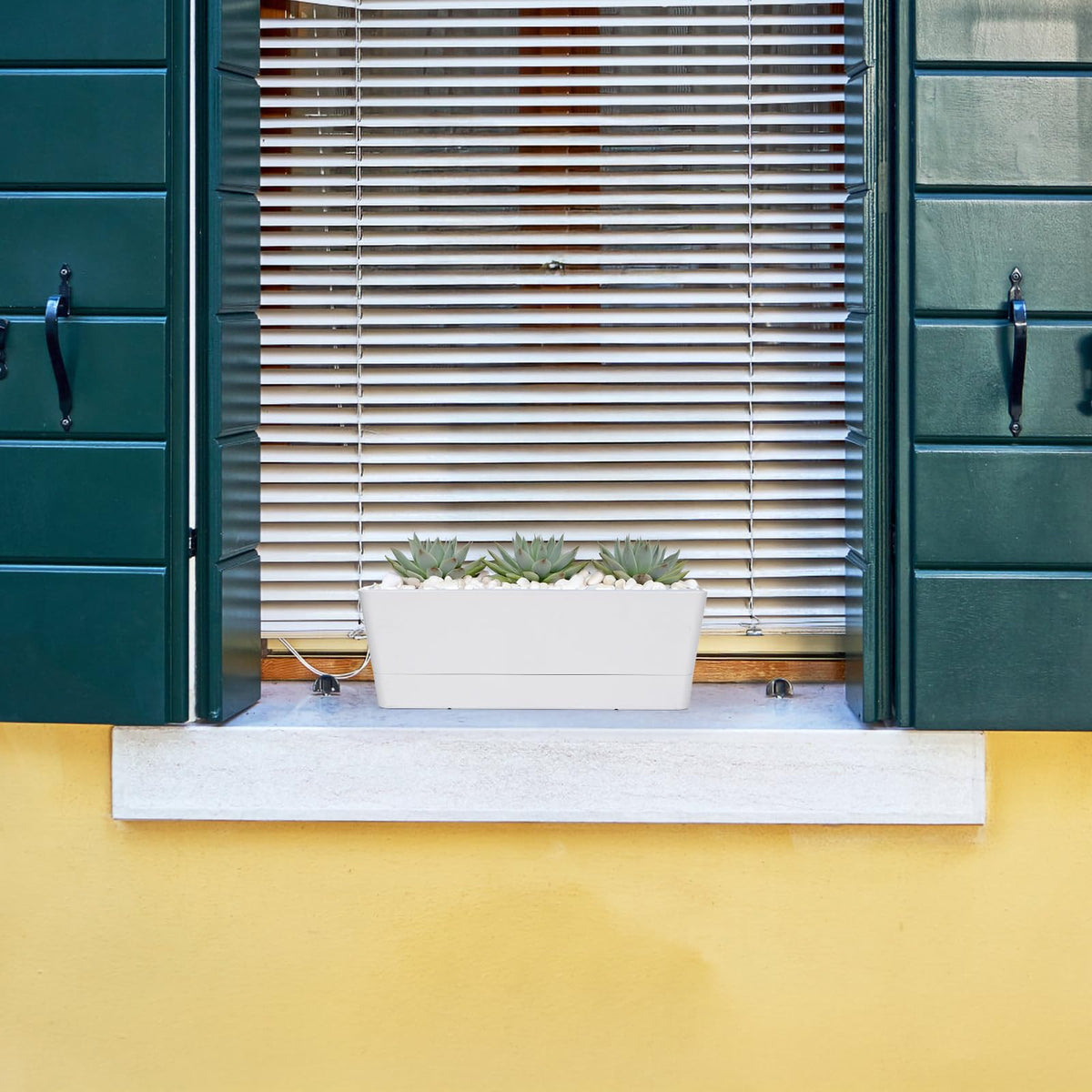 GREANER included removable saucer supports tidy setups and water management.