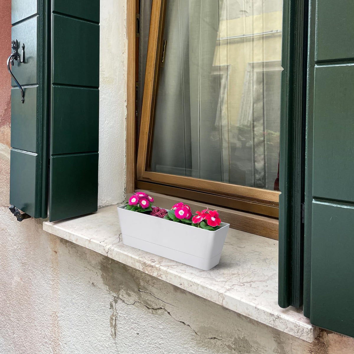 Removable saucer detail on GREANER window box for easy cleaning.