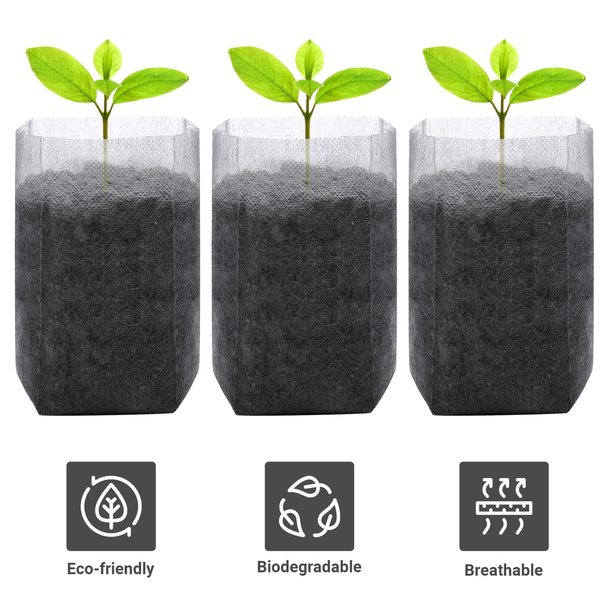 GREANER seedling bags with drainage holes support moisture management
