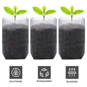 GREANER seedling bags with drainage holes support moisture management