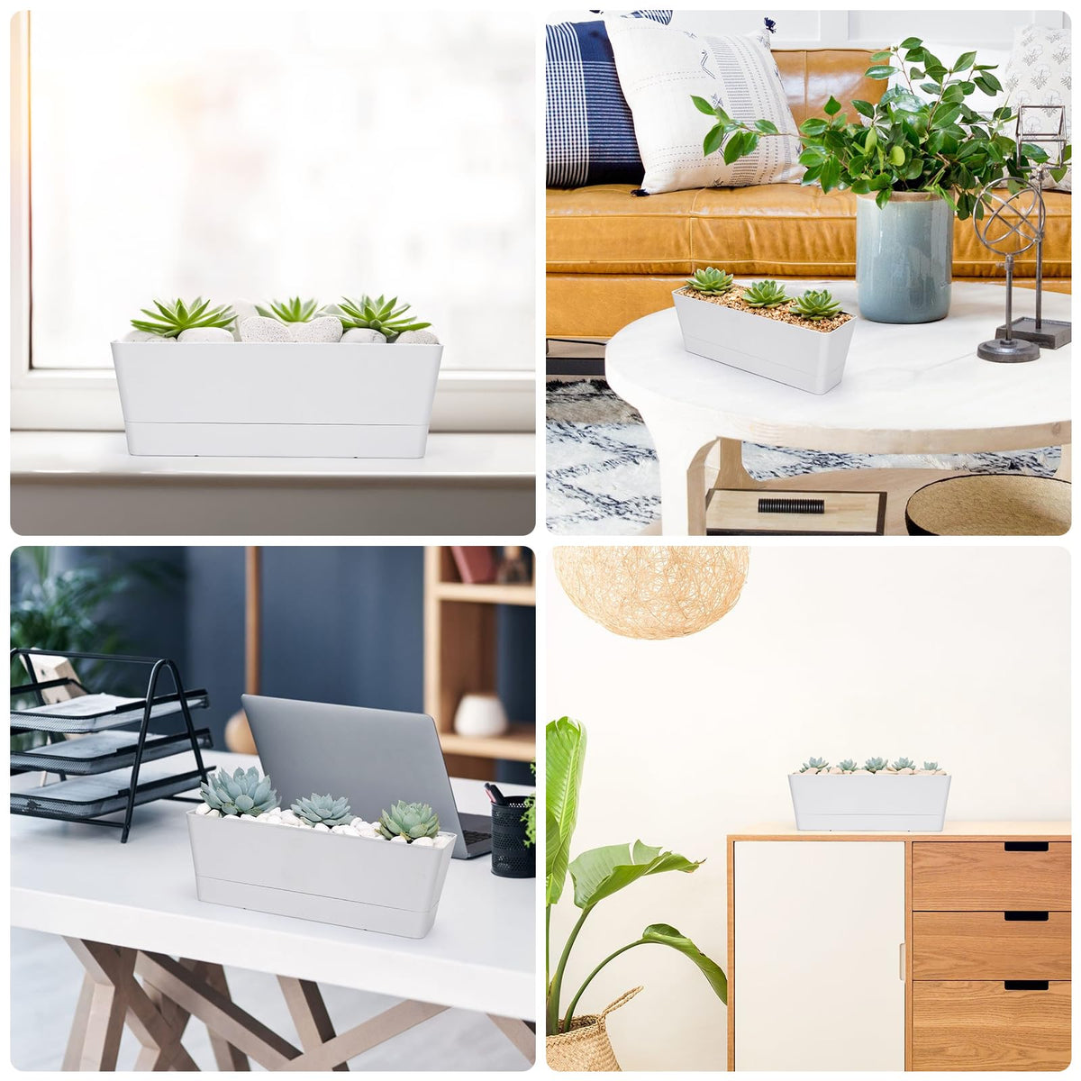GREANER rectangle planter housing succulents in a compact space.