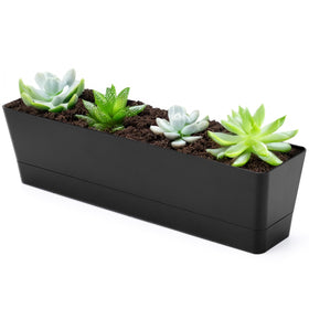 GREANER window box planter 16x3.8 inch, ideal for herbs and succulents on balcony or sill.