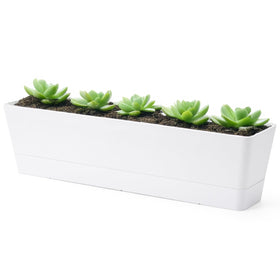 GREANER window box planter in white with drainage holes for herbs and succulents.