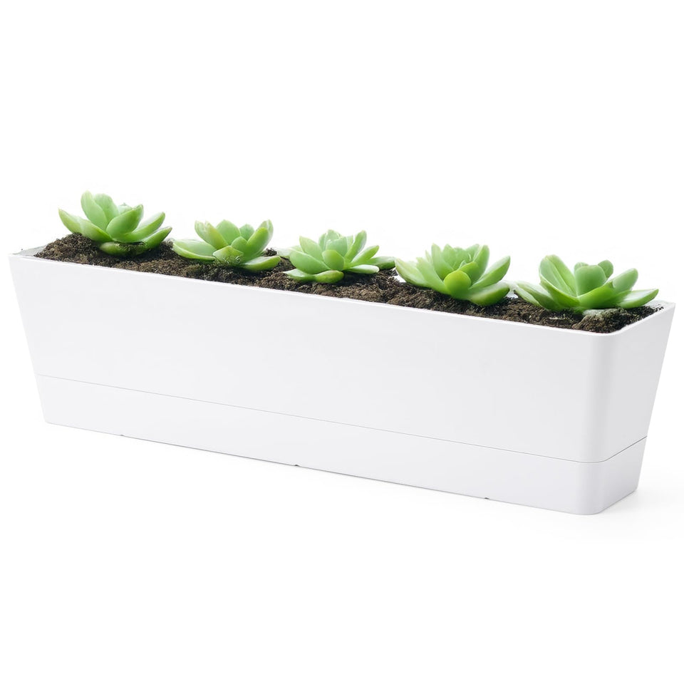 GREANER window box planter in white with drainage holes for herbs and succulents.