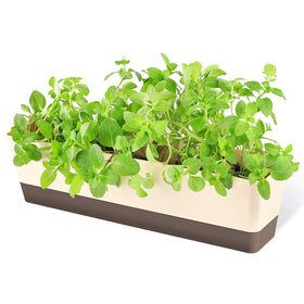 GREANER window box front view for compact windowsills and herbs