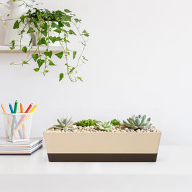 GREANER rectangle planter makes a gift for plant lovers