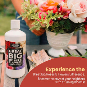 Great Big Plants chelated minerals seaweed boost supports nutrient uptake for vibrant blooms.