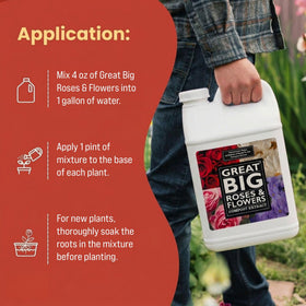 Great Big Roses compost-extract image highlights bioavailable nutrients supporting vibrant growth.