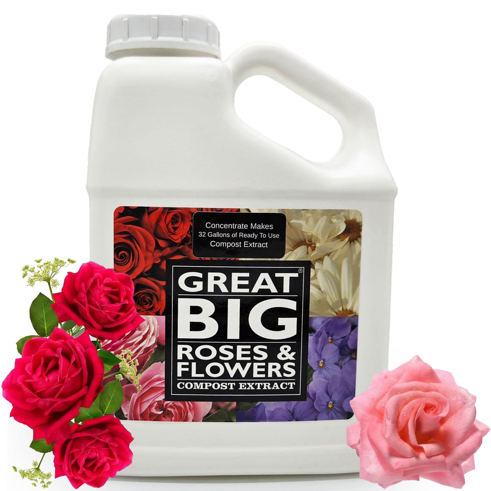 Great Big Roses soil-boost image highlights improved soil structure for thriving roses.