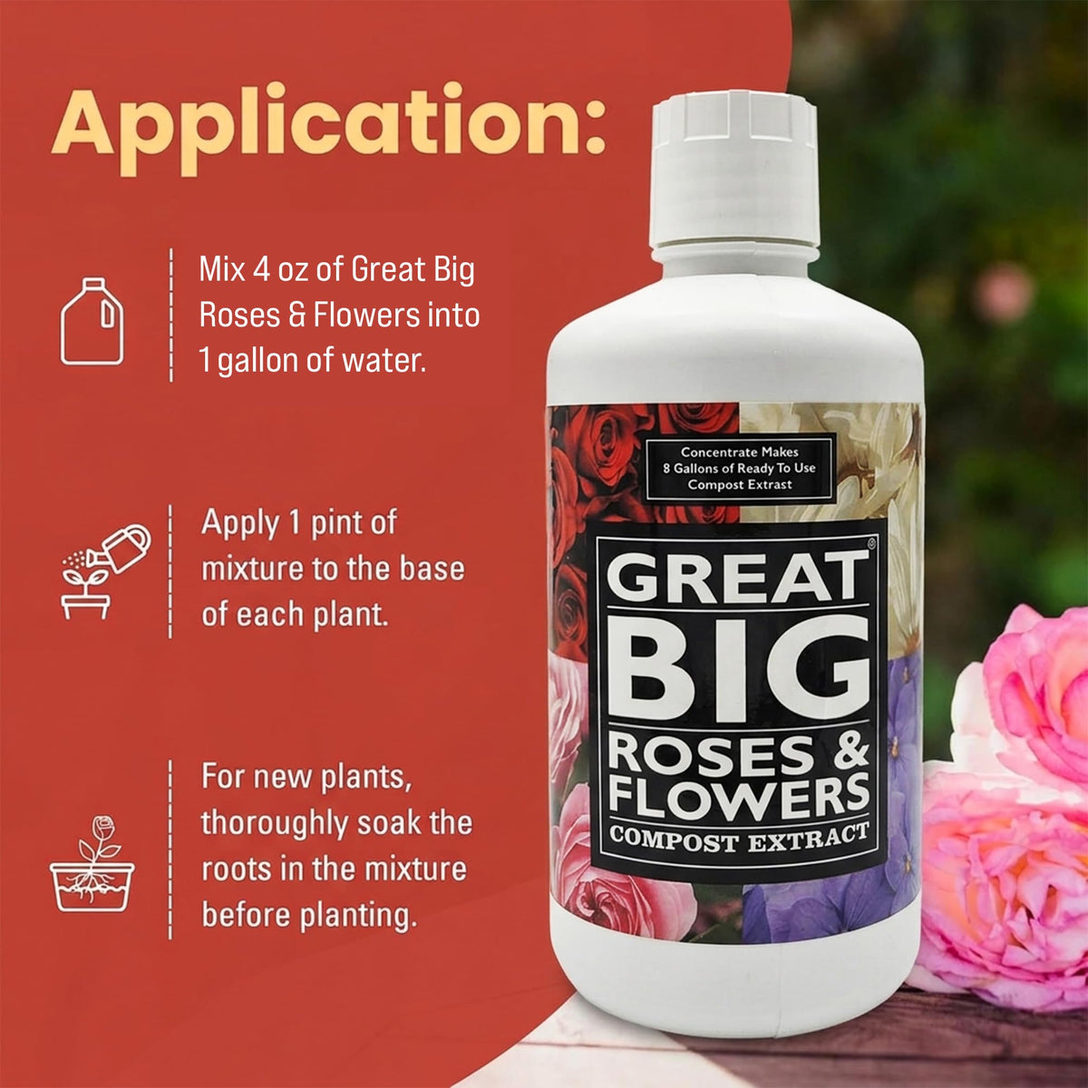 Great Big Plants root-zone delivery helps fertilizer reach the rose roots.