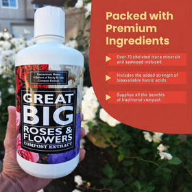 Great Big Plants soil improvement boost feeds the soil for stronger rose vigor.