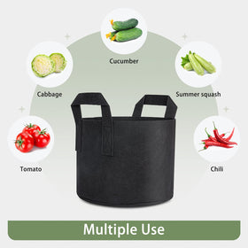 GreatBuddy 12-pack grow bags tomato-in-bag example demonstrates versatile garden use.