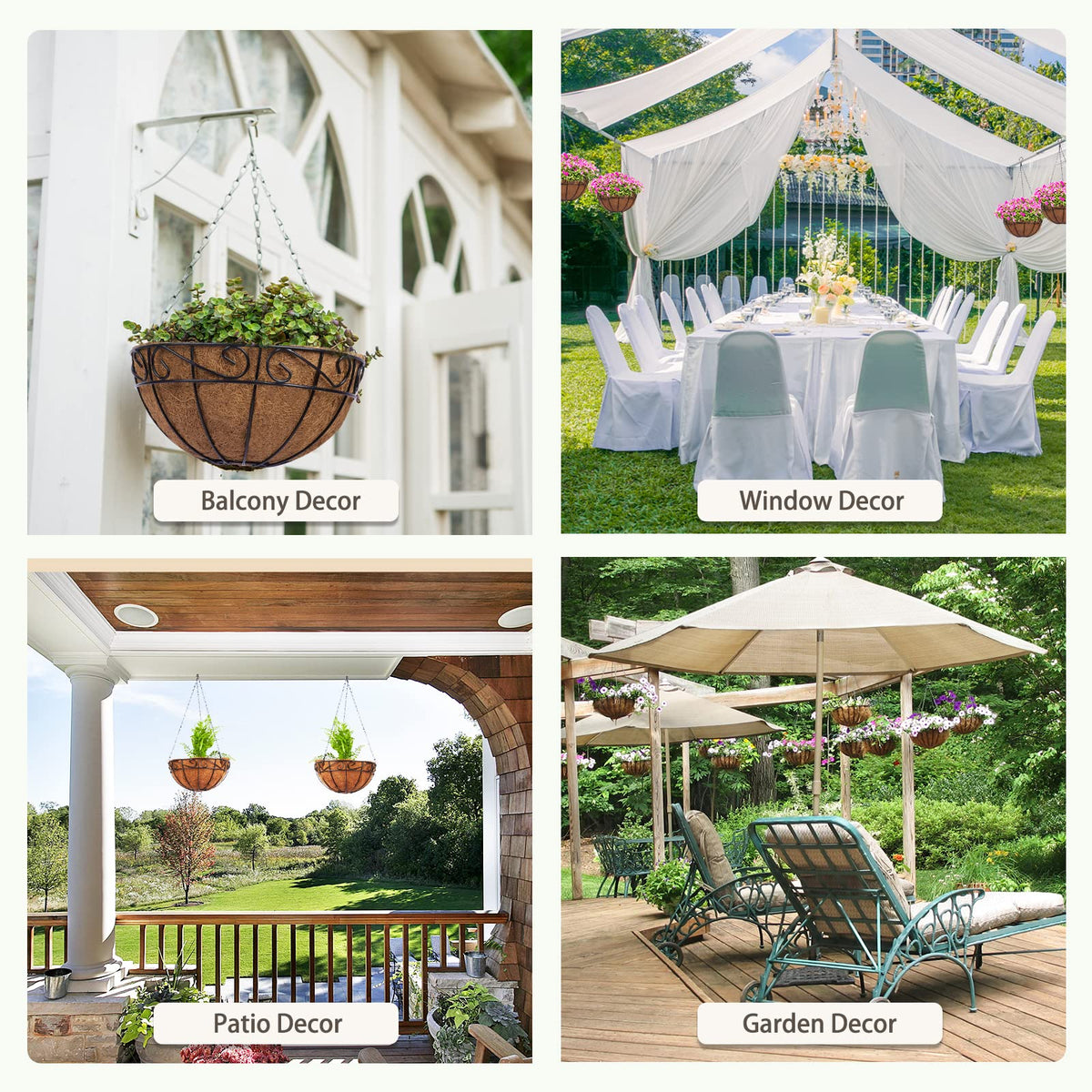 GreatBuddy orchid friendly coconut liner supports flowering plants beautifully