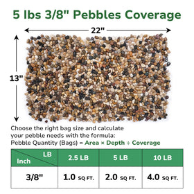 GreatBuddy pebbles in a vase create a tidy, moisture-retentive decorative layer.