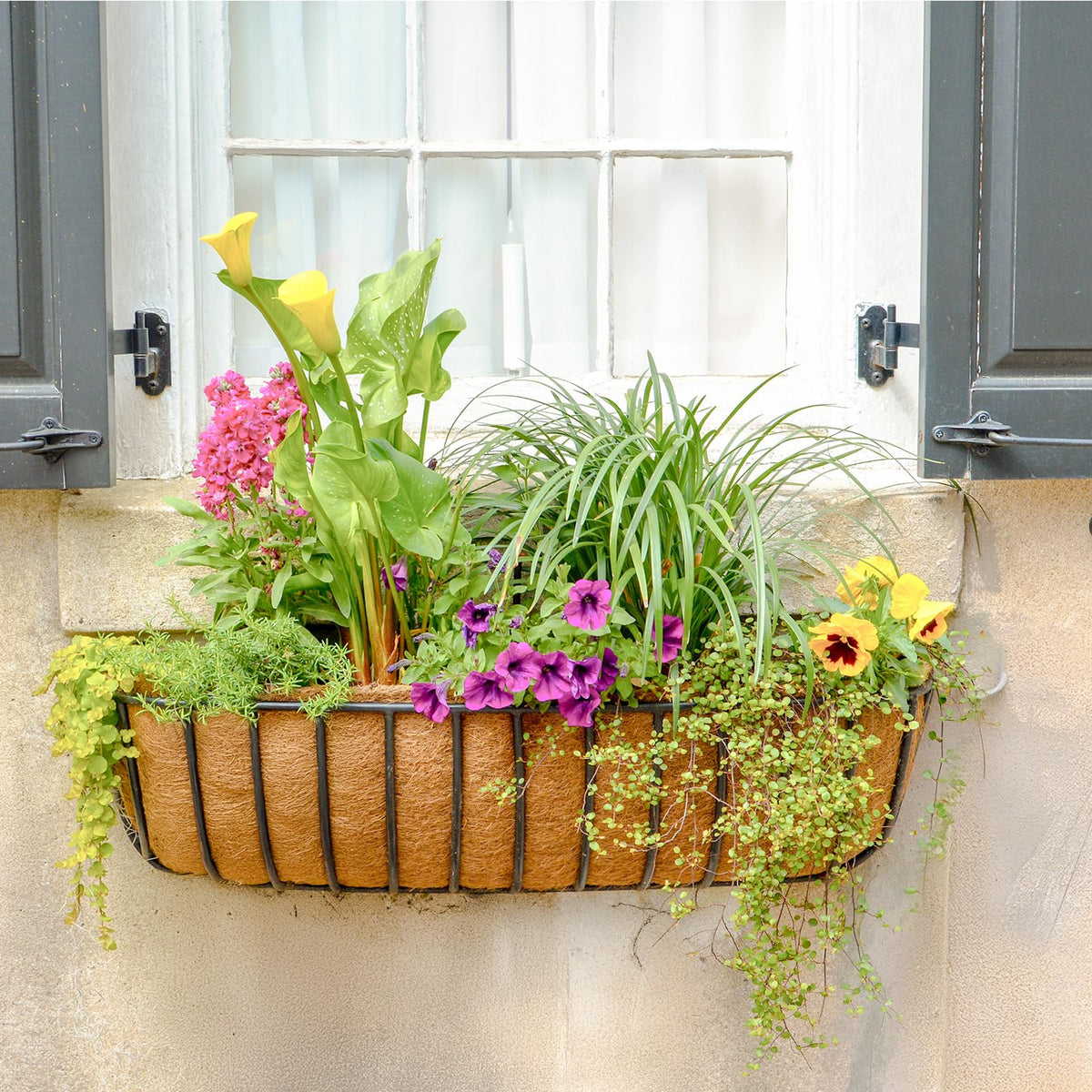 GreatBuddy planter-liner-outdoor-use is ideal for petunias and seasonal blooms