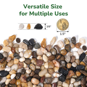 GreatBuddy polished stones for aquariums provide safe, fade-resistant shine.