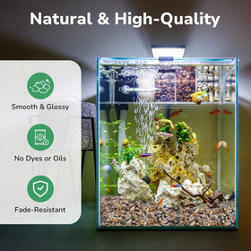GreatBuddy succulents display with vibrant, long-lasting pebble contrast.
