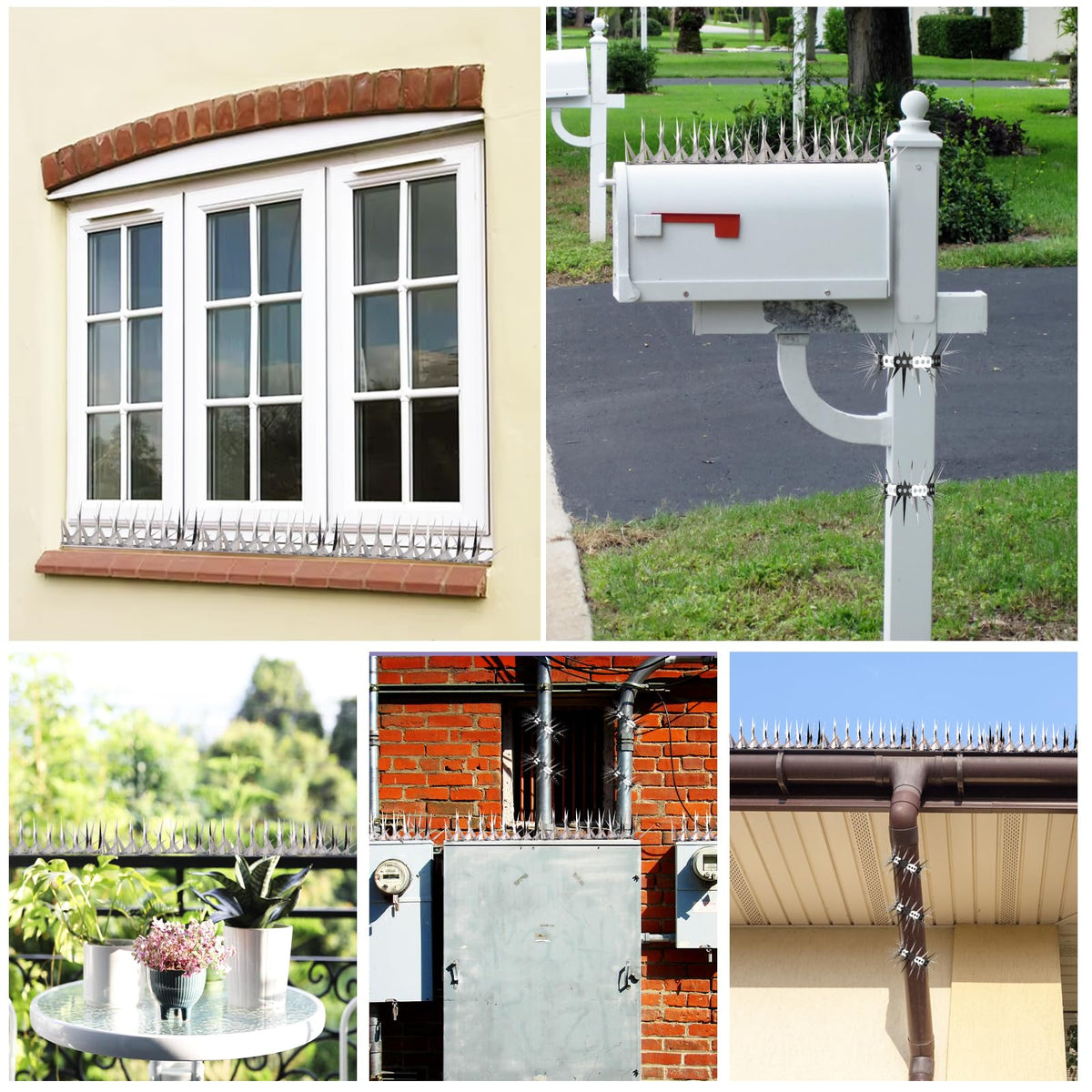 GRECOMEIN bird feeder baffle blocks wildlife access outdoors.