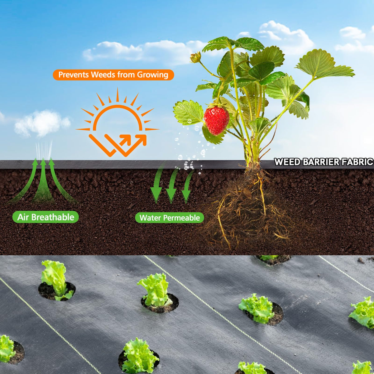 Gree-Mac ground cover used under beds to reduce weeding