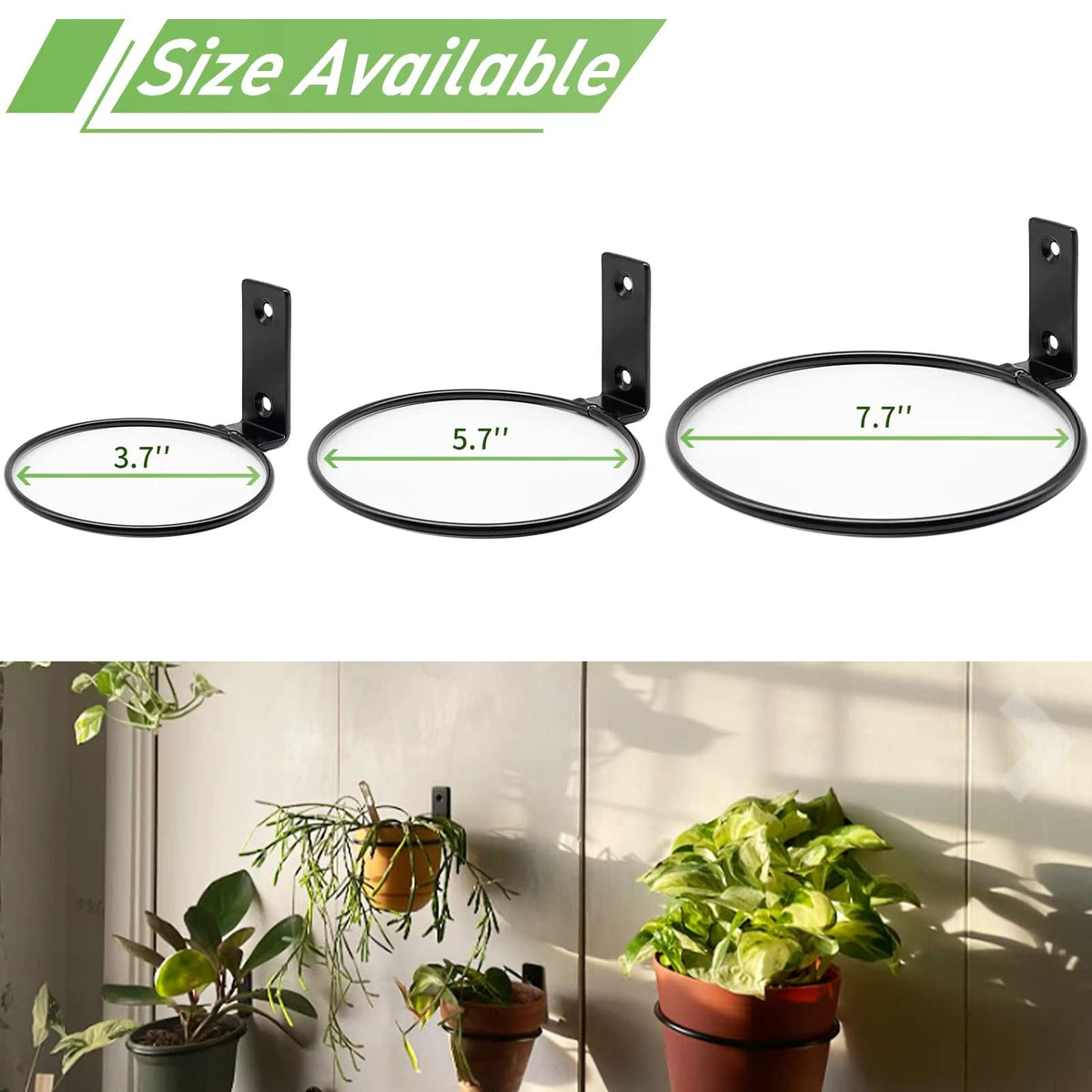 Greemov pack includes screws and wall anchors for easy secure installation