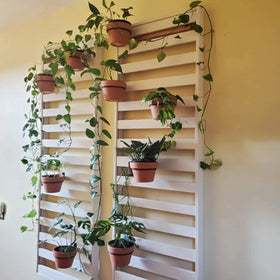 Greemov space-saving wall hanger ideal for tight balconies.