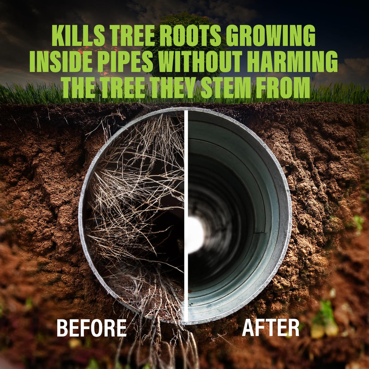 Green Gobbler being poured into a toilet to dissolve invading roots safely.