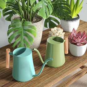 Green Moon hanging plant watering can helps reach wall-mounted greenery