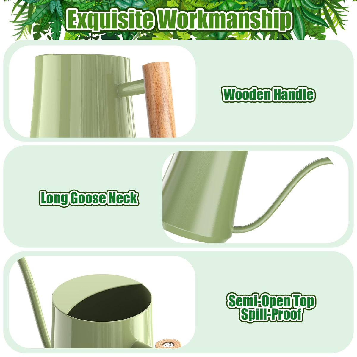Green Moon tabletop bonsai watering for quick, gentle irrigation
